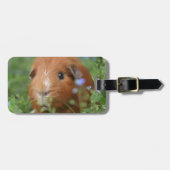 草のかわいく愛らしいショウガのモルモット外で ラゲッジタグ (正面横)