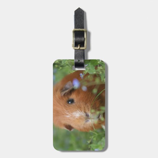 草のかわいく愛らしいショウガのモルモット外で ラゲッジタグ (正面縦)