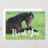 草のかわいらし中に寝そべる茶色の馬 サンキューカード (正面/裏面)