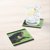 草のかわいらし中に寝そべる茶色の馬 スクエアペーパーコースター (インサイチュ)