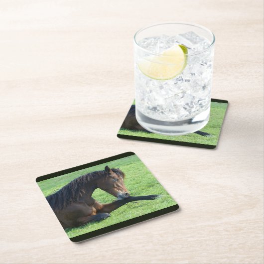 草のかわいらし中に寝そべる茶色の馬 スクエアペーパーコースター (インサイチュ)