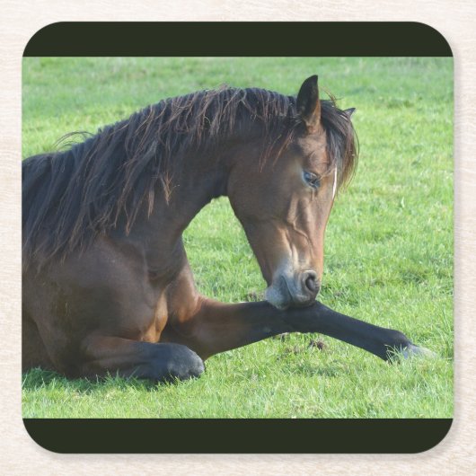 草のかわいらし中に寝そべる茶色の馬 スクエアペーパーコースター (正面)