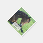 草のかわいらし中に寝そべる茶色の馬 スタンダードカクテルナプキン (角)