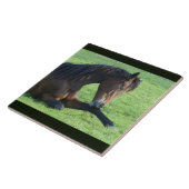 草のかわいらし中に寝そべる茶色の馬 タイル (側面)