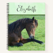 草のかわいらし中に寝そべる茶色の馬 ノートブック (正面)