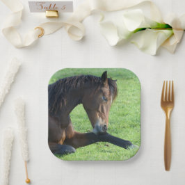 草のかわいらし中に寝そべる茶色の馬 ペーパープレート