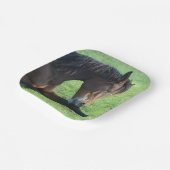 草のかわいらし中に寝そべる茶色の馬 ペーパープレート (傾斜あり)