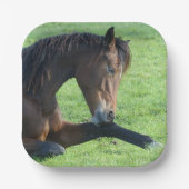 草のかわいらし中に寝そべる茶色の馬 ペーパープレート (正面)