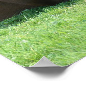 草のかわいらし中に寝そべる茶色の馬 ポスター (角)