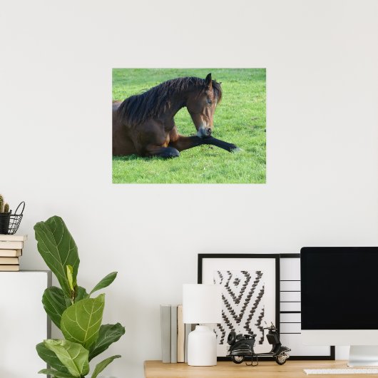 草のかわいらし中に寝そべる茶色の馬 ポスター (ホームオフィス)