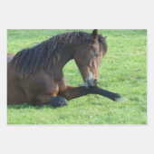 草のかわいらし中に寝そべる茶色の馬 ラッピングペーパーシート (正面3)