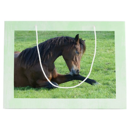 草のかわいらし中に寝そべる茶色の馬 ラージペーパーバッグ (正面)