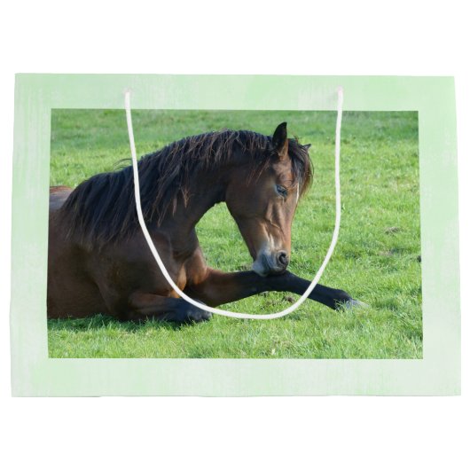 草のかわいらし中に寝そべる茶色の馬 ラージペーパーバッグ (裏面)