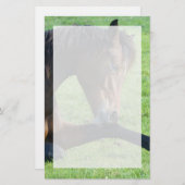 草のかわいらし中に寝そべる茶色の馬 便箋 (正面/裏面)