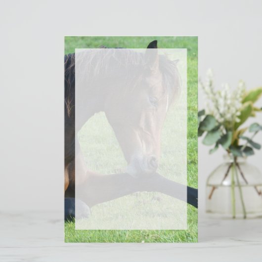 草のかわいらし中に寝そべる茶色の馬 便箋 (スタンド正面)