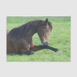 草のかわいらし中に寝そべる茶色の馬 薄葉紙