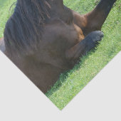 草のかわいらし中に寝そべる茶色の馬 薄葉紙 (詳細)