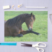 草のかわいらし中に寝そべる茶色の馬 薄葉紙 (クラフト)