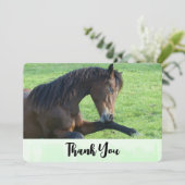 草のかわいらし中に置く茶色の馬ありがとう サンキューカード (スタンド正面)