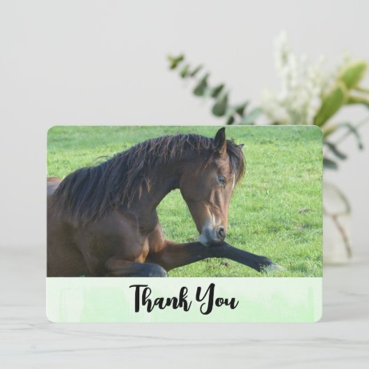 草のかわいらし中に置く茶色の馬ありがとう サンキューカード (スタンド正面)