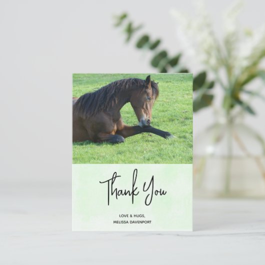 草のかわいらし中に置く茶色の馬ありがとう ポストカード (スタンド正面)