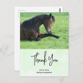 草のかわいらし中に置く茶色の馬ありがとう ポストカード (正面/裏面)