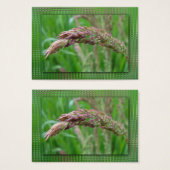 草のしおりを育てる (正面&裏面)