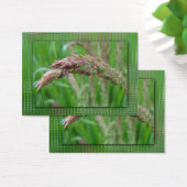 草のしおりを育てる (デスク)