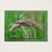 草のしおりを育てる (裏面)