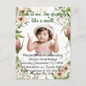 草のようにすくすく成長、女の子の1歳の誕生日、 ポストカード (正面)