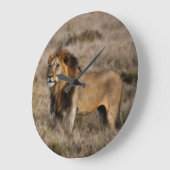 草のアフリカのライオン ラージ壁時計 (傾斜)