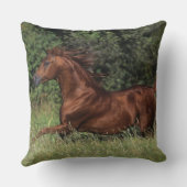 草のアラビアの種馬のランニング クッション (裏面)