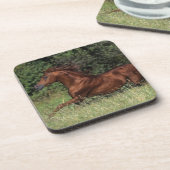 草のアラビアの種馬のランニング コースター (左側)