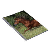 草のアラビアの種馬のランニング ノートブック (右側)