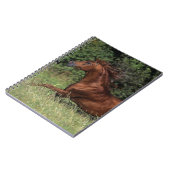 草のアラビアの種馬のランニング ノートブック (左側)