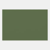 草のエレガント緑のミニマリストとシック ラッピングペーパーシート (正面)