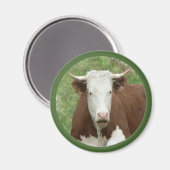 草のカメオ磁石の牛 マグネット (正面/裏面)
