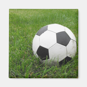 草のサッカーボール マグネット