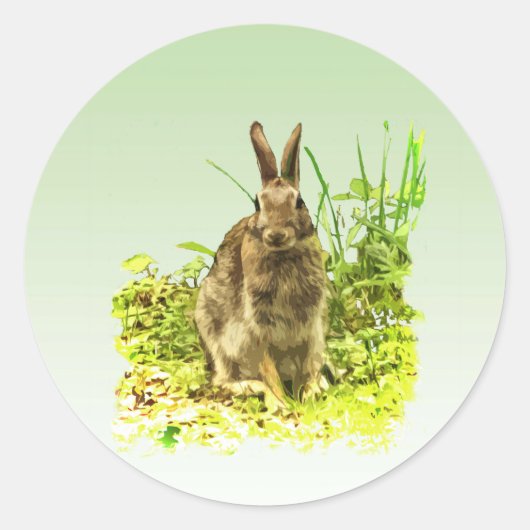 草のステッカーに愛らしいウサギ ラウンドシール (正面)
