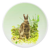 草のセラミックノブに甘いバニーウサギ セラミックノブ (正面)