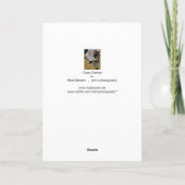 草のダンサー挨拶カード カード (裏面)