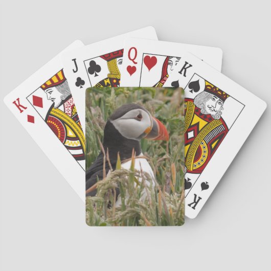 草のツノメドリ トランプ (裏面)