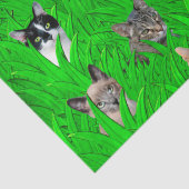 草のティッシュペーパーの猫 薄葉紙 (詳細)