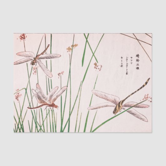 草のティッシュペーパーを持つドラゴンのはえ 薄葉紙 (正面)