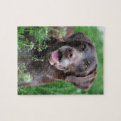 草のドイツShorthairedポインター犬 ジグソーパズル (横)