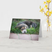 草のビーグル犬のベビー カード (黄色い花)