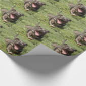 草のピットブル ラッピングペーパー (角)