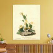 草のフィンチ、ベイウィングのバンティング、またはベスパーのスパロー キャンバスプリント (インサイチュ (リビング))