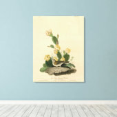 草のフィンチ、ベイウィングのバンティング、またはベスパーのスパロー キャンバスプリント (インサイチュ (ウッドフロア))