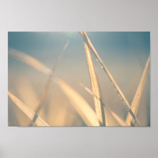 草のフローラ自然写真 ポスター (正面)